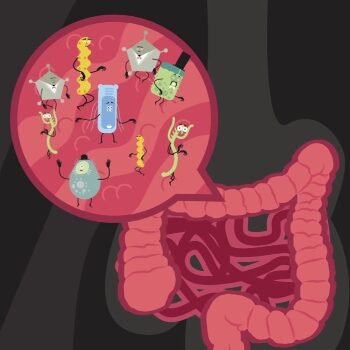 gut animation