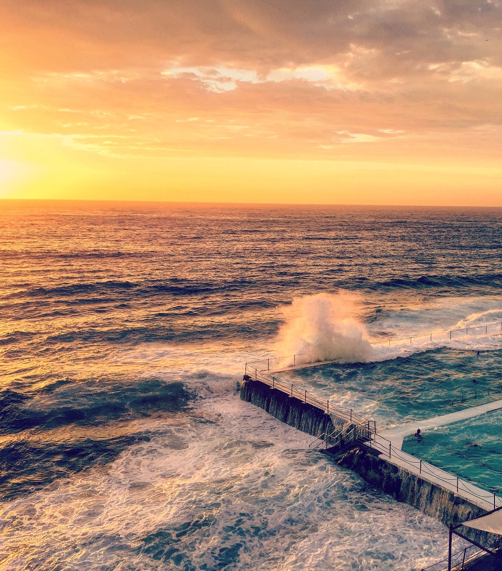 bondi icebergs